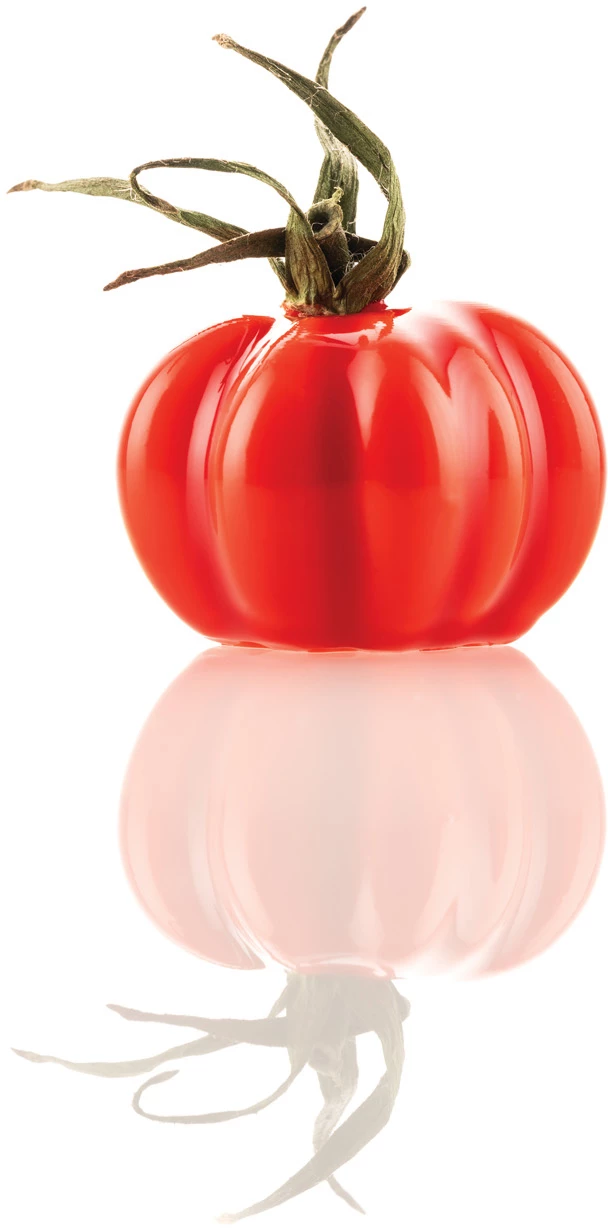 Silikomart flexform, tomat, 12 huller