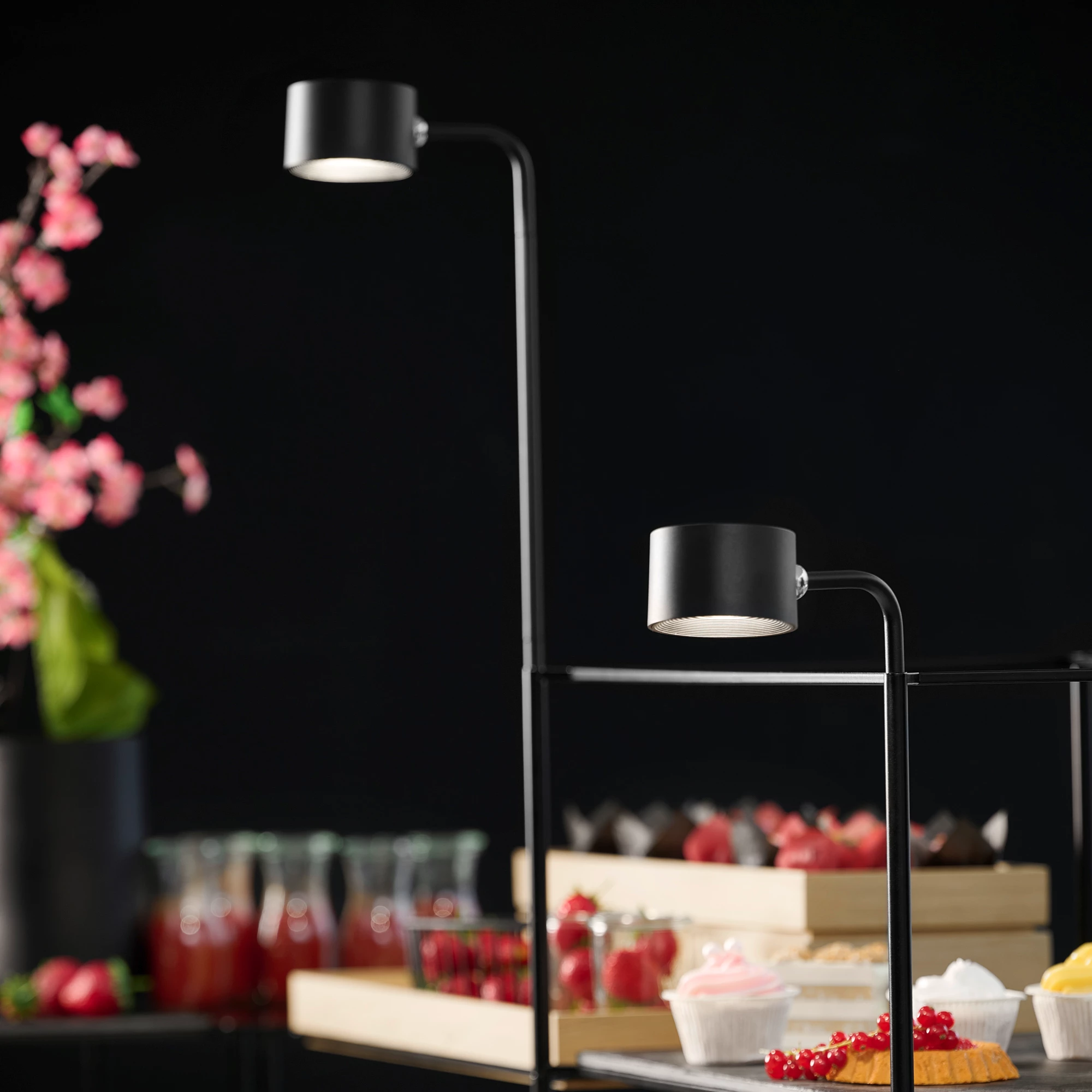APS VALUMO stander med spyd, H30-55 cm