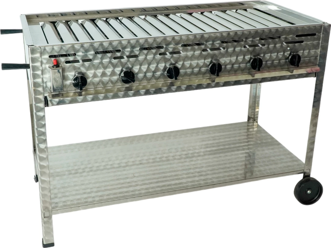 Gasgrill med 6 blus og rist