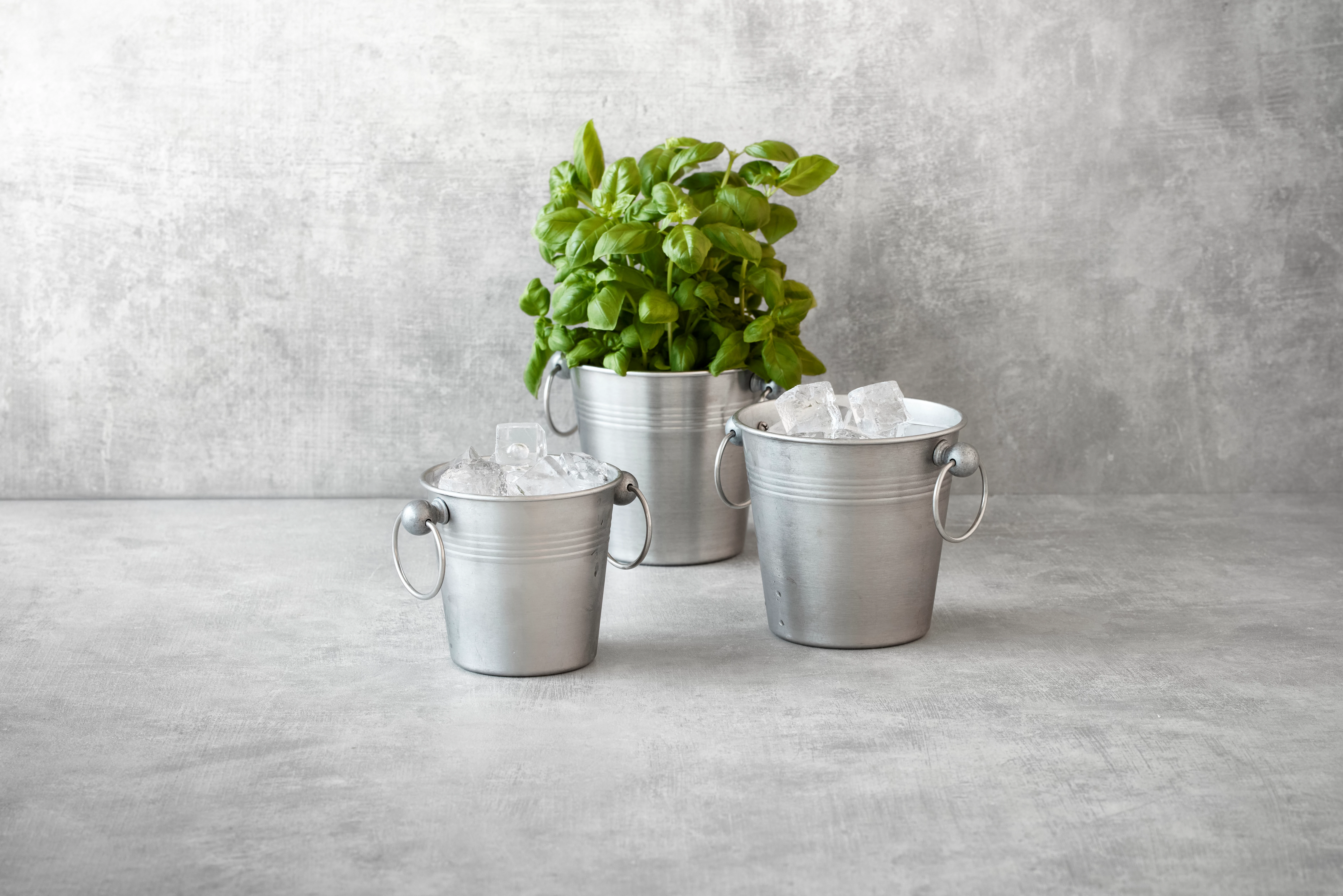 Tognana Vintage isspand til isterninger , 0,7 ltr., H11 cm