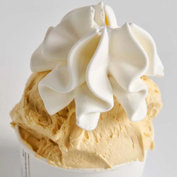 Carpigiani Nuvia flødeskumsmaskine