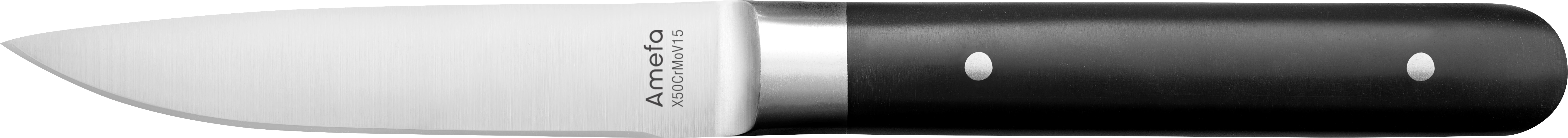 Amefa Fusion steakkniv med sort plastskaft, 22 cm