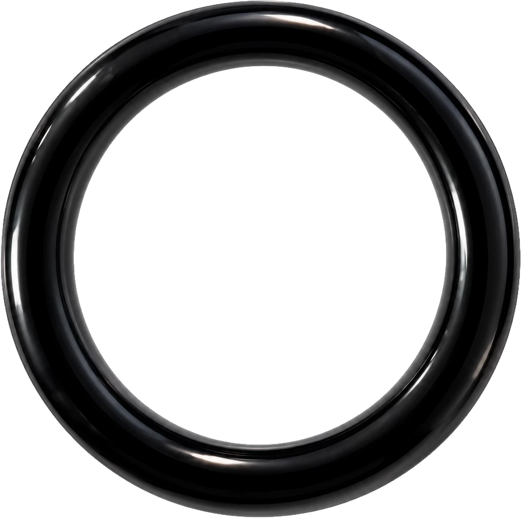 O-ring 2 13 NB 70, 1246