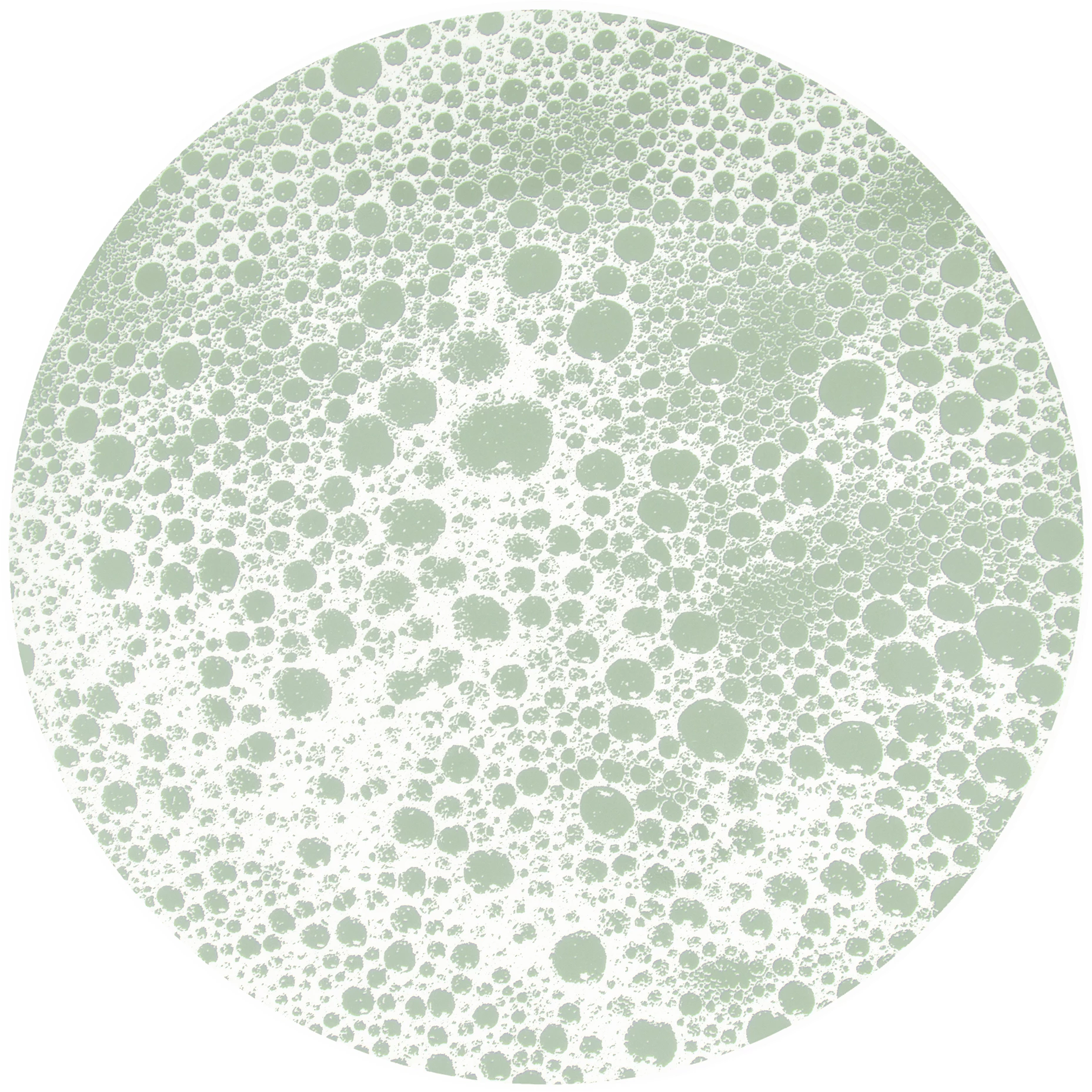 Figgjo Verde tallerken uden fane, grøn Boble, ø27 cm