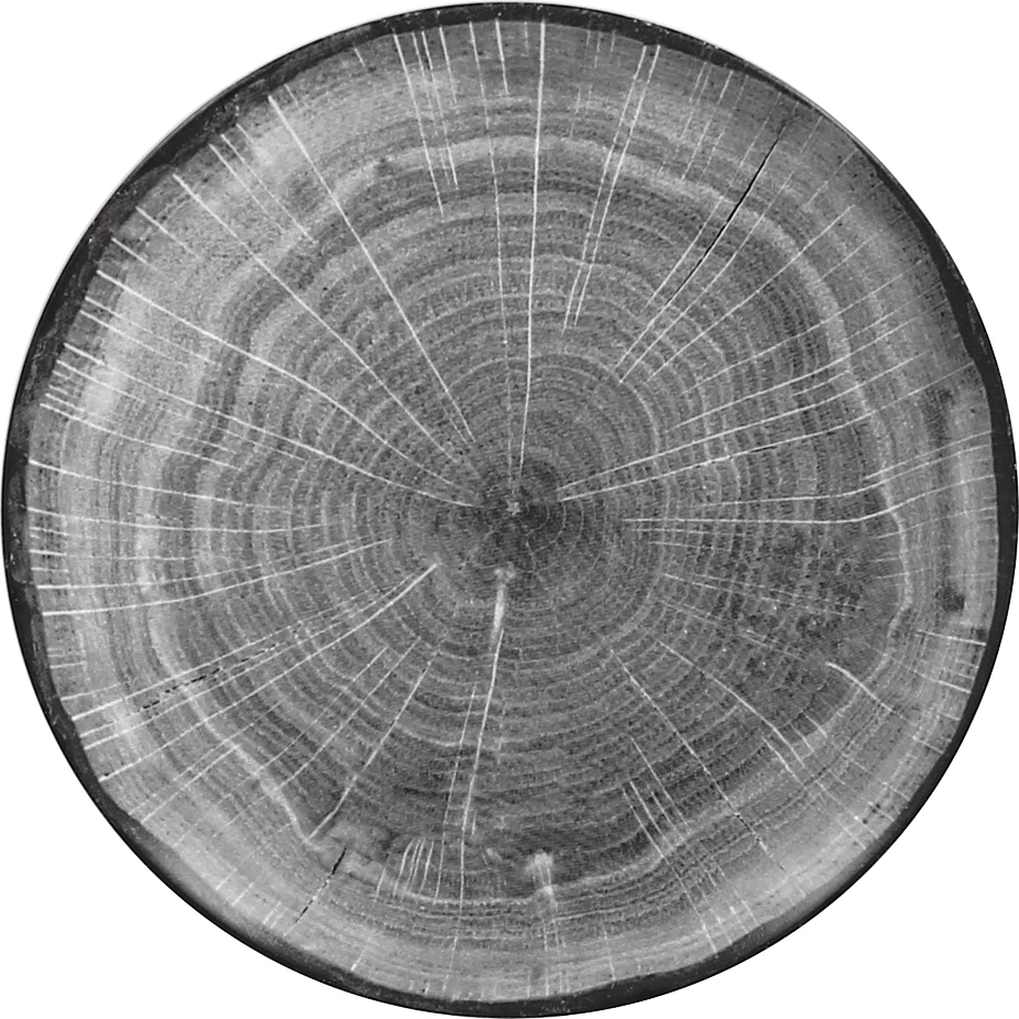 RAK Woodart tallerken, flad, grå, ø15 cm