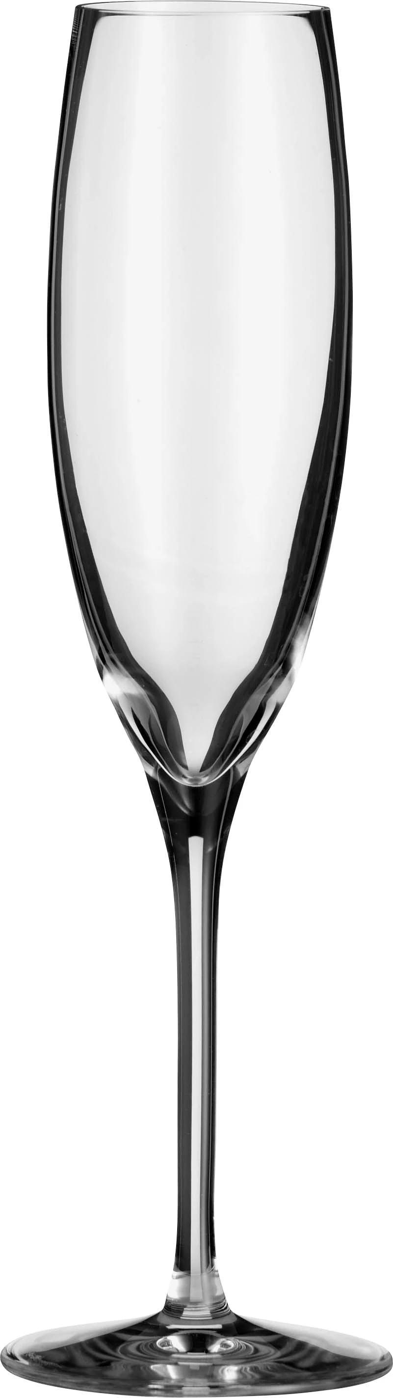Zenz Penelope champagneglas, 17 cl, H22,4 cm