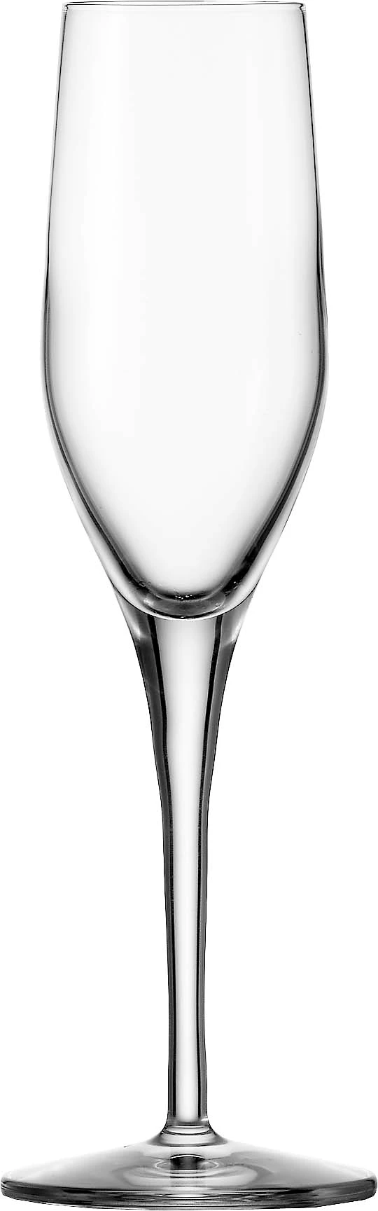 Stölzle Exquisit champagneglas, 17 cl, H22,1 cm
