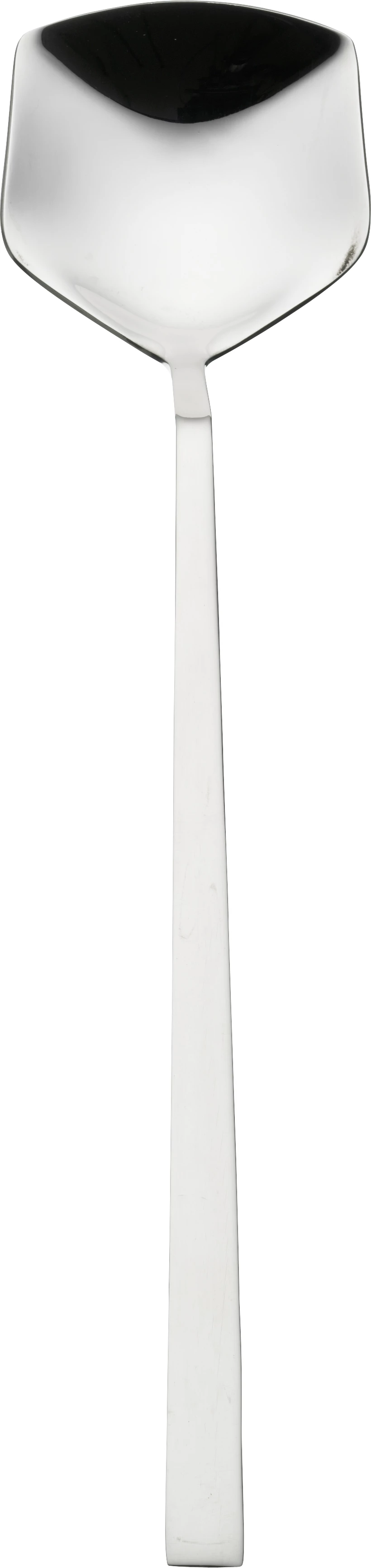 Alba salatske, 27,2 cm