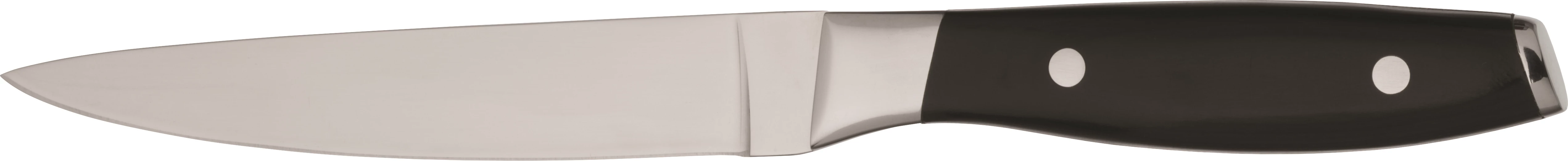 Bistecca steakkniv, sort skaft, L25 cm