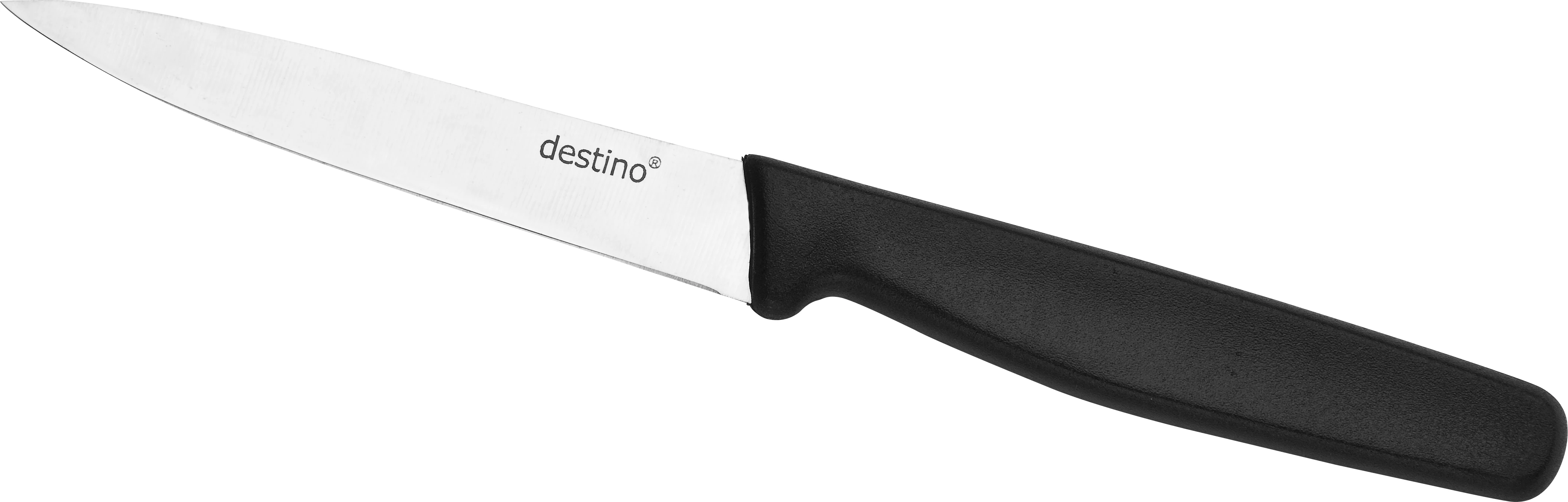Destino spækkekniv med plastgreb, 10 cm
