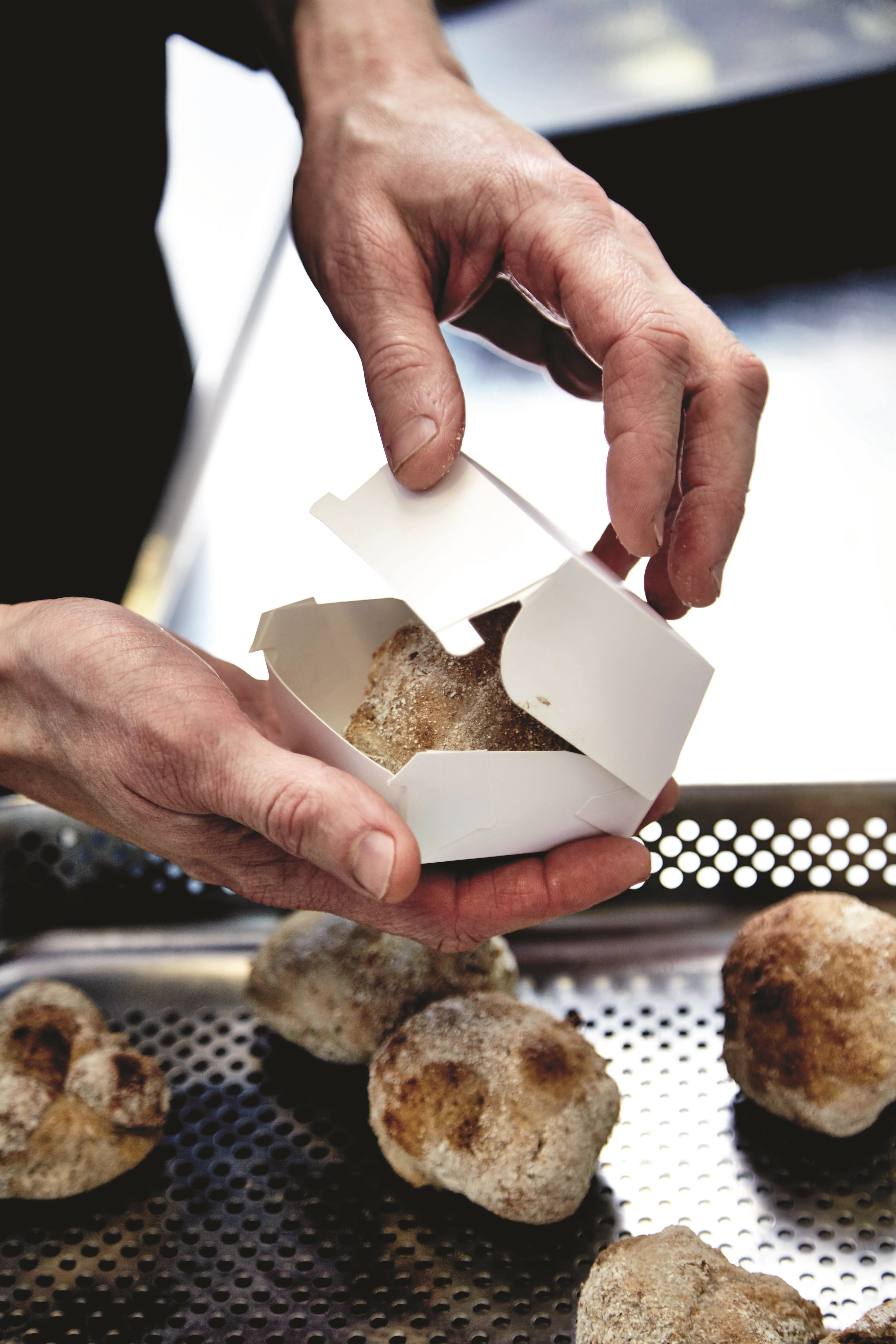 SP1S Mini Dishes burgerboks, mini, hvid, 7 x 7 x 5 cm