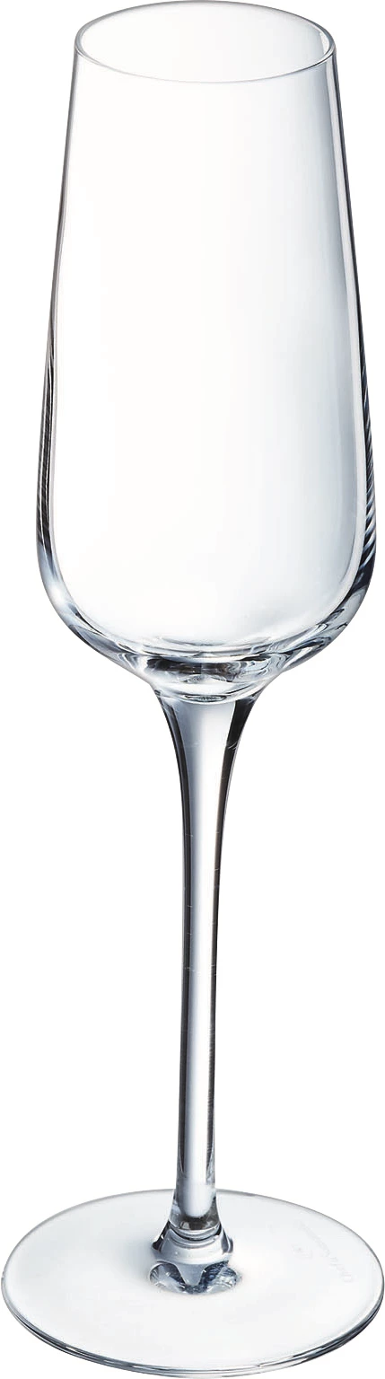 Chef&Sommelier Sublym champagneglas, 21 cl, H24,2 cm